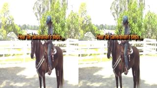 3d my first tutorial review of dxg 5f9v hd 3d camcorder