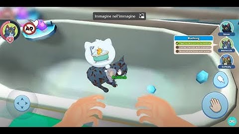 my pet cat simulator