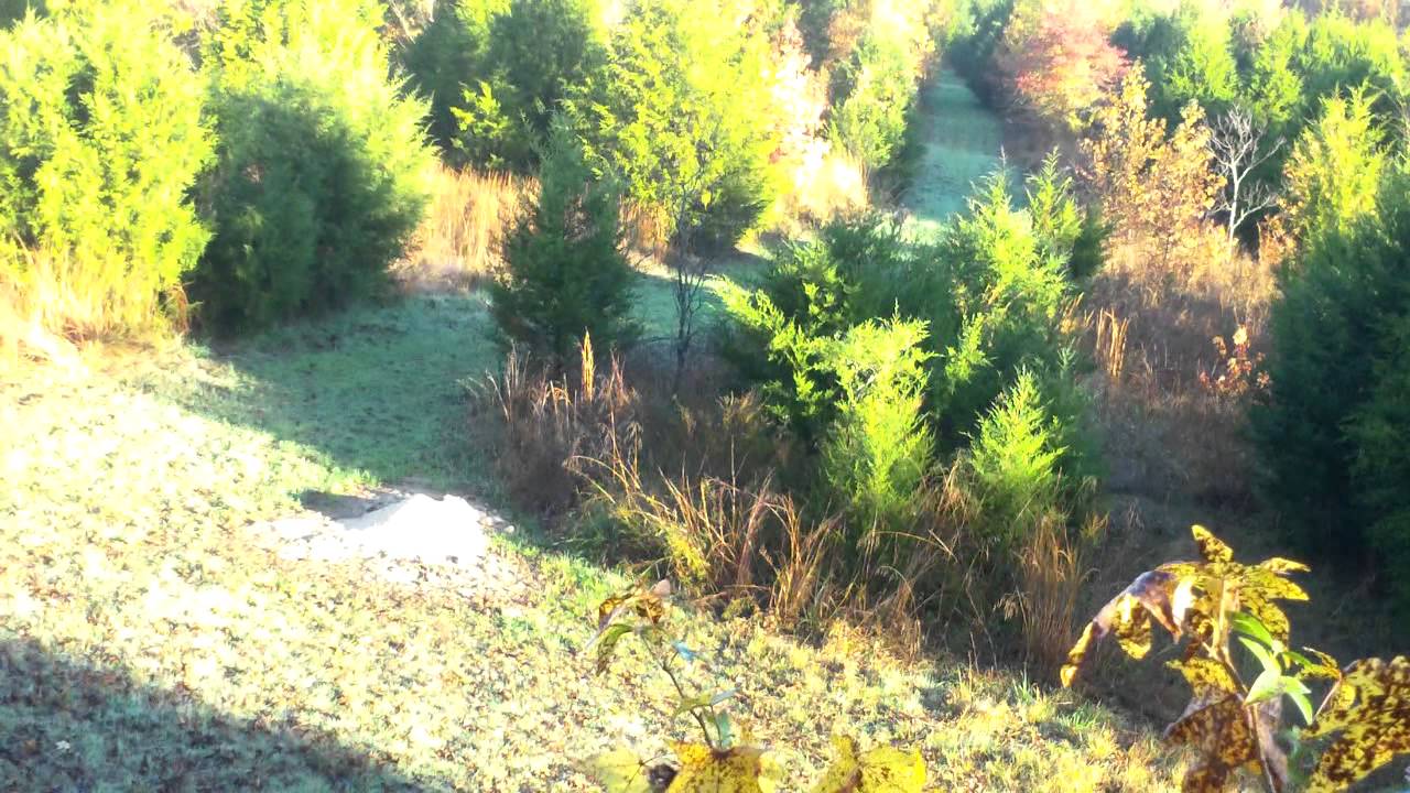 Arkansas Youth Hunt 2013 YouTube