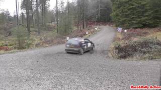 Grizedale Stages 2019 - David Barr/Neil Mitchell-Hunter - VW Polo