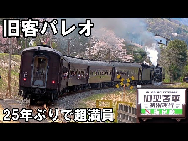 【SLを見る】旧客パレオ25年ぶりに復活 - 秩父鉄道 SLパレオエクスプレス 旧型客車特別運行