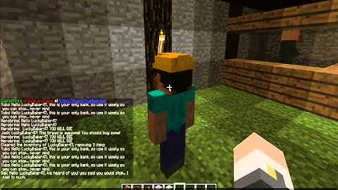 Minecraft The Custom NPC