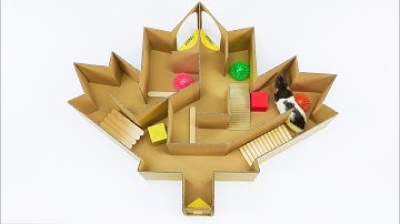 DIY Fantastic Maze for Pet Rat