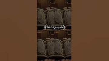 صوت اسلام صبحي #قرآن #اكسبلور #المصحف #لايك #القارئ #دويتو #قران #quran
