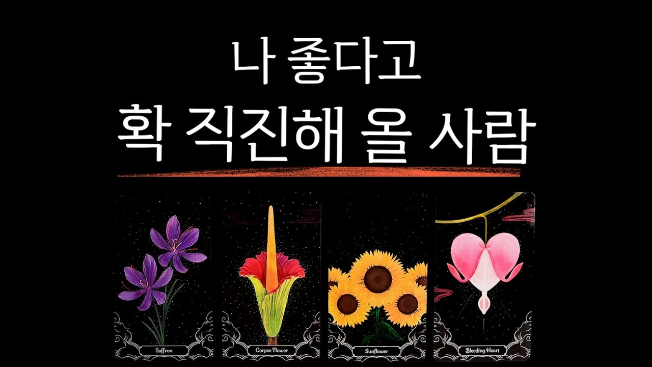 [타로] 나 좋다고 확 직진해 올 사람🙏