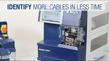Brady: automated cable identification