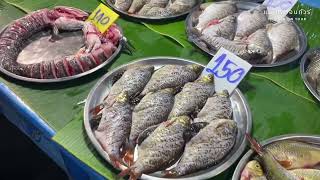 ตลาดแลง จ.สกลนคร เห็ดเผาะ เห็ดปลวก ปลาแม่ไข่ มีแต่อาหารแซ่บๆ