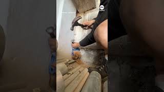 Man rescues puppy stuck in wall