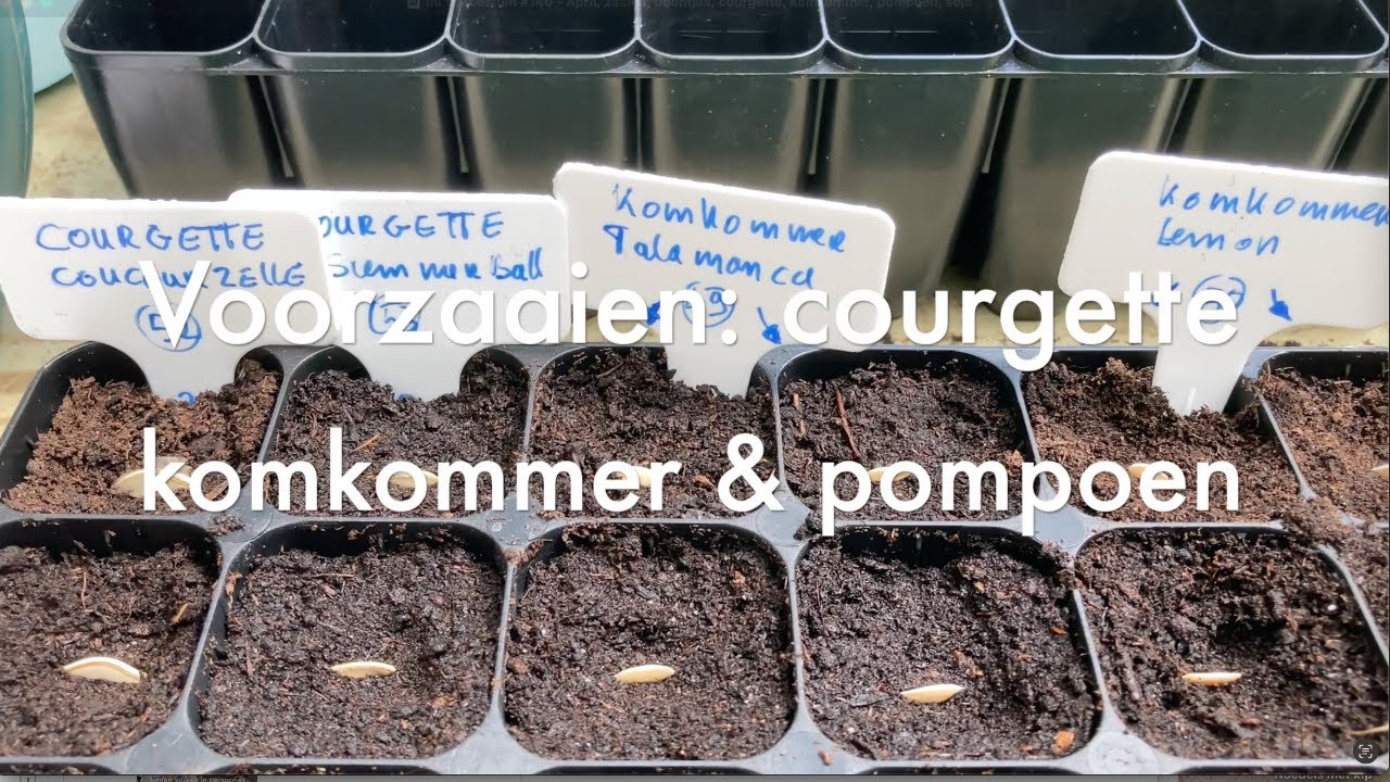 Ini's Moestuin #140  Eind april-zaaien: sperzieboontjes, courgette, komkommer, pompoen, sojaboon.