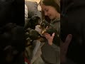 Dachshunds welcoming home their new little brother weeny dog