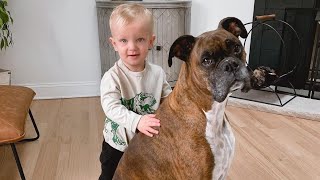 Baby Takes His First Steps Straight To His Dog