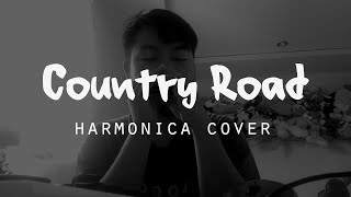 Take Me Home, Country Road Harmonica Cover + TAB