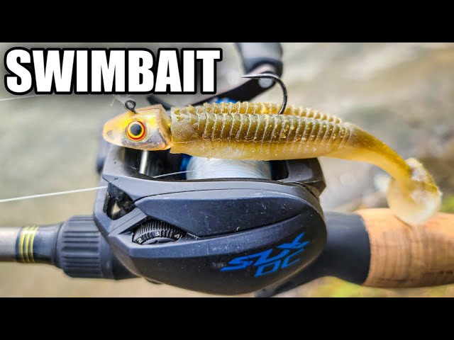 Bank Fishing with a Paddle Tail Swimbait (Reaction Innovations