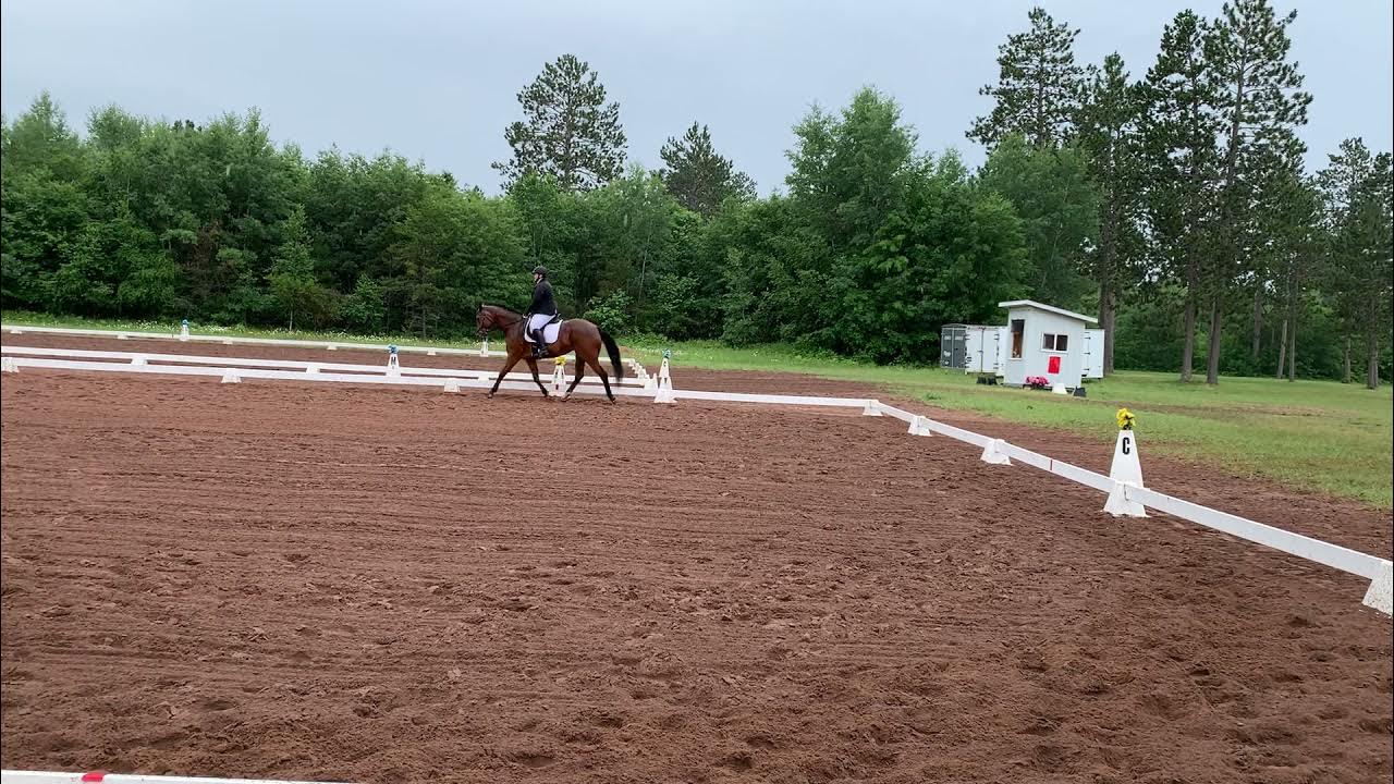 Training level test 2 USDF/USEF COOLER BY THE LAKE 2 6/27/21 YouTube