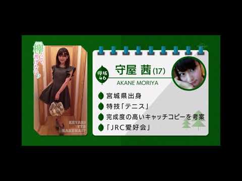 初登場から完成度が高いあかねん