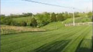 Betty's Trip to Happy Meadow Natural Foods in Berea, Kentucky--NO RECIPE--