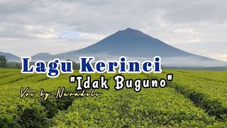 Lagu Kerinci || Idak Buguno || Voc by Nuradeli (versi lirik)