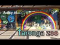 Taronga zoo sydney australia  walking tour