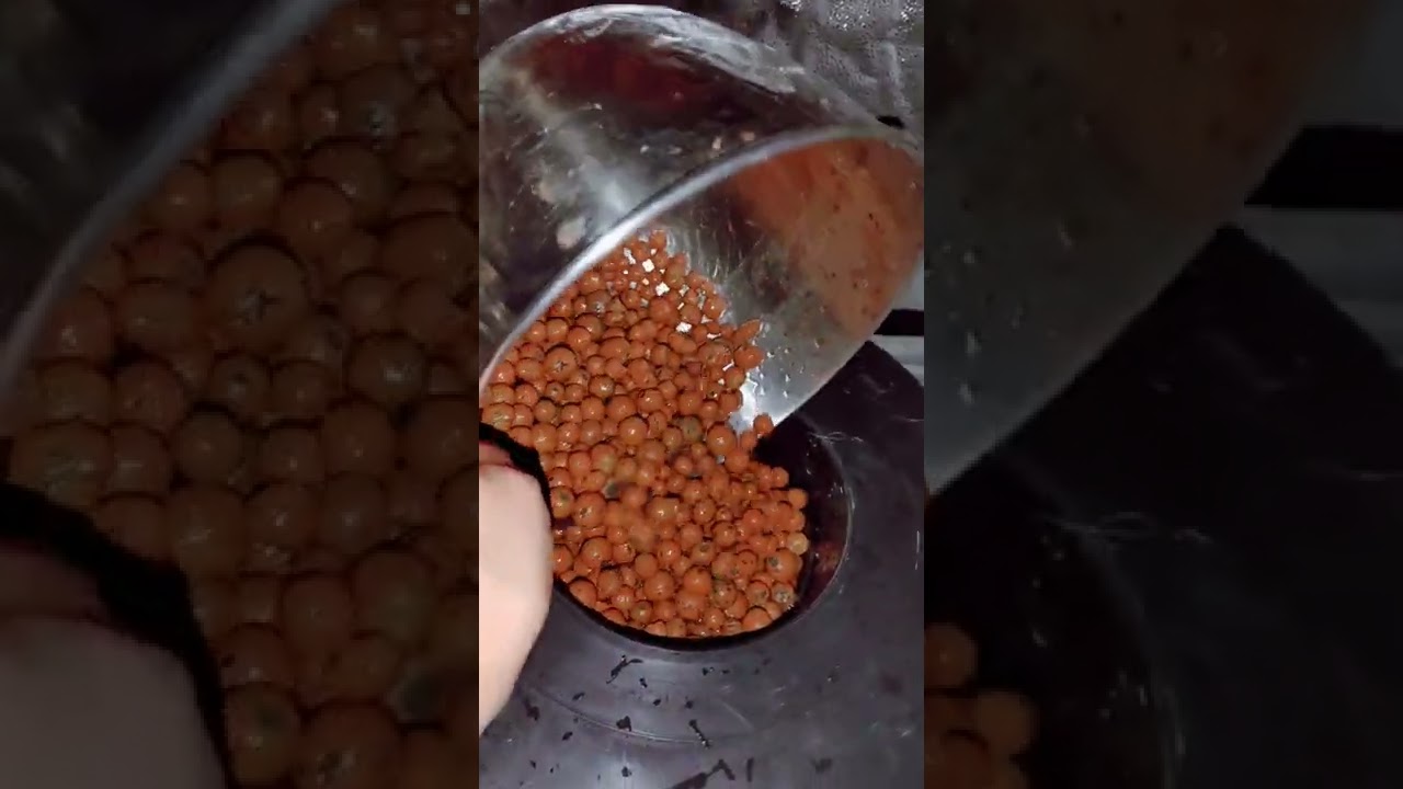 SETTING UP A DWC BUCKET