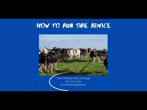 How to: Sire Advice - Manually enter bulls