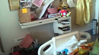video 2012 01 10 14 46 39