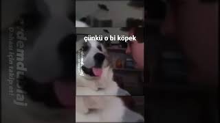 Evet O Köpek Kostümü Giyen Bir Insan