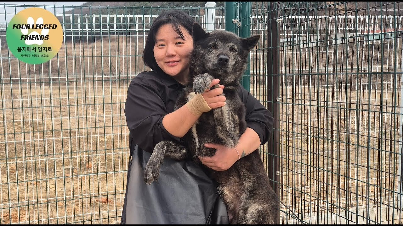 체온이 머무는 곳, 따뜻함이 이어지는 보호소