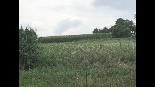 Lots And Land for sale - 0 Kingston Whisler Road, Kingston, OH 45644