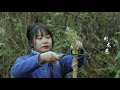 【二米炊烟】Wild Vegetables in Rural China 用5種野菜製成一桌美食，山裡人這樣迎接春天