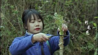 【二米炊烟】Wild Vegetables in Rural China 用5種野菜製成一桌美食，山裡人這樣迎接春天
