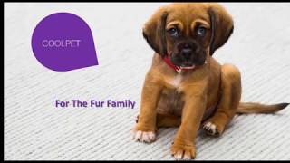 Coolpet Toys Online -South Africa screenshot 5