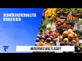 Wie sieht das moderne Multi-Asset-Portfolio aus? Vier Vermögensverwalter diskutieren