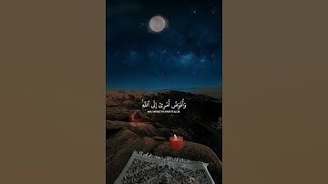 #قرآن #القرآن_الكريم #quran #تلاوة_خاشعة #اكسبلور #صوت_جميل #سورة #holyquran #راحة_نفسية