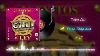 Tierra Cali - Amor Regresa