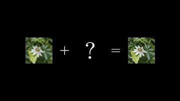 ResNet (actually) explained in under 10 minutes