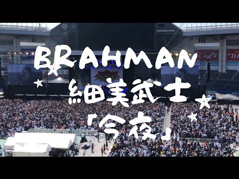 AIRJAM2018 BRAHMAN サプライズゲスト細美武士「今夜」