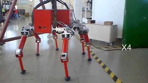 SILO 6 walking with mammal configuration.