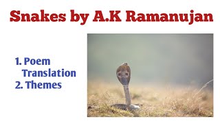 Snakes by A.K Ramanujan Poem Translation in Urdu/Hindi| Snakes by A.K Ramanujan Poem Themes.