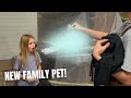 BROTHER SURPRISES LITTLE SISTER WITH NEW PET | UNEXPECTED AND VERY ODD🤔