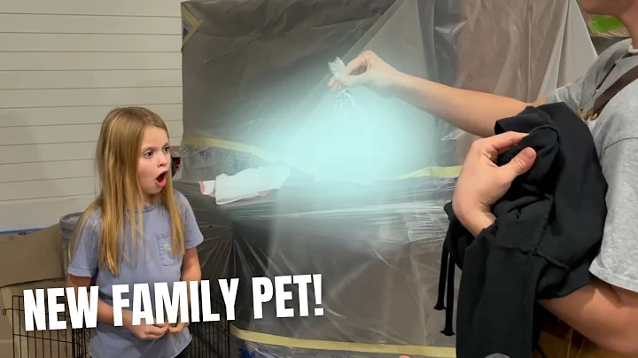 BROTHER SURPRISES LITTLE SISTER WITH NEW PET | UNE...