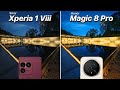 Sony Xperia 1 VIII vs Honor Magic 8 Pro Camera Battle | Comparison