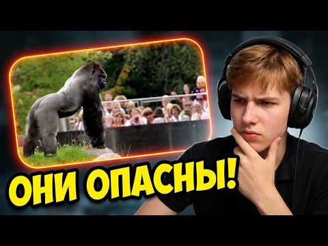 РЕАКЦИЯ на видео "Айсберг инцидентов с животными"