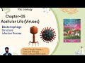 Lect 03 |Bacteriophage Structure | Chap 05: Acellular Life |1st year Biology |By Zohaib Hassan
