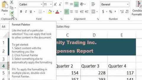Using Format Painter in Excel 2013