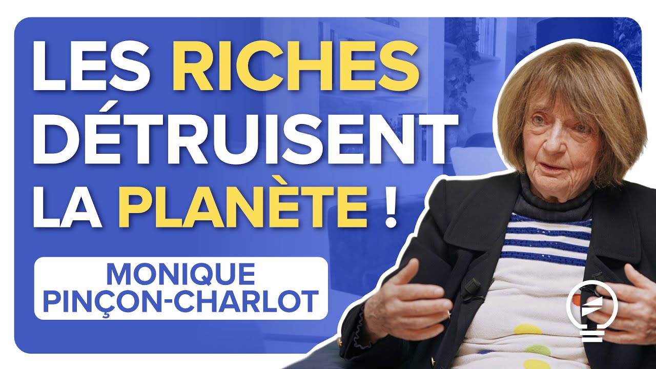 COMMENT L’OLIGARCHIE ET SES RÉSEAUX SACCAGENT LE MONDE - Monique Pinçon-Charlot