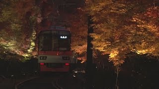 車窓越しに紅葉トンネル 京都・叡山電鉄