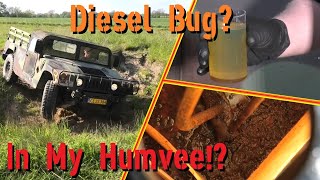 Diesel Bug -in my Humvee! -Let's get rid of It!