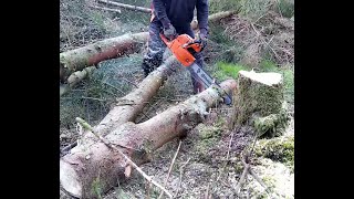 Husqvarna 380cd More storm Ishy block blow downs processed by Mrs Digwells Watches over ''The Old Fella'' 187 views 5 days ago 13 minutes, 51 seconds