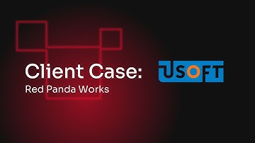 Client Case: USoft