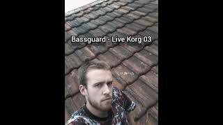 Bassguard - Live Korg 03